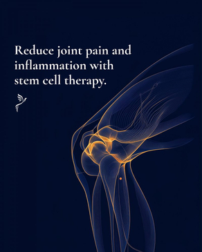 Slider image (2) Blue Phoenix